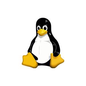 Linux/Unix Servers via SSH