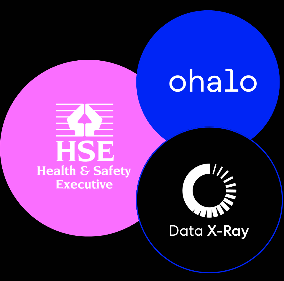HSE Case Study and Ohalo Data X-Ray